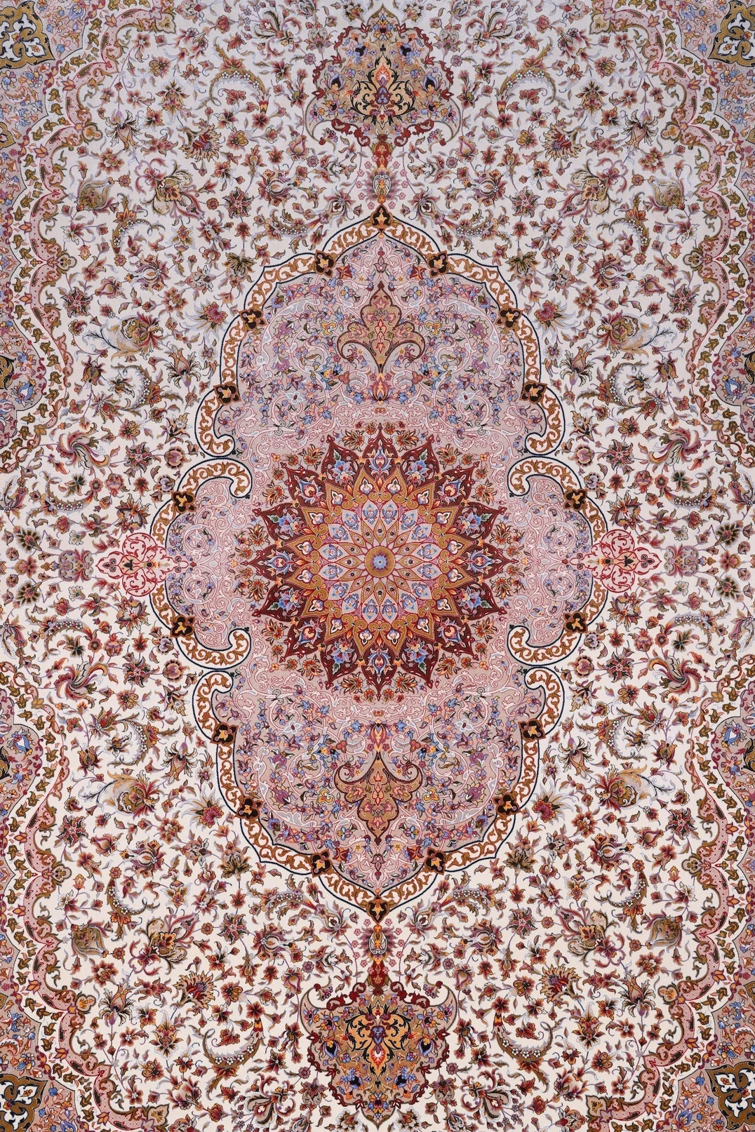 Morning Light Series